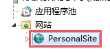 选中需要配置Python的站点